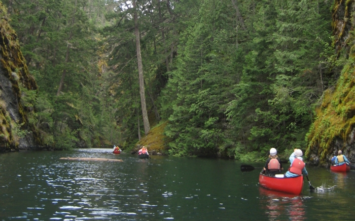 a group of outward bound students paddle canoes on calm water surrounded by greenery